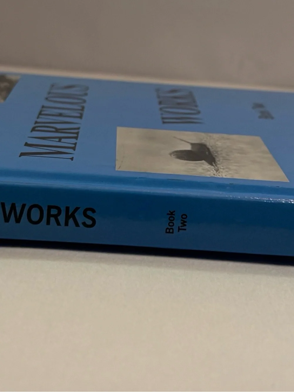 God's Marvelous Works Book Two - Blue Hardcover